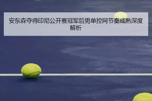 an-dong-sen-duo-de-yin-ni-gong-kai-sai-guan-jun-hou-nan-dan-kong-wang-jie-zou-cheng-shu-shen-du-jie-xi-2-746.jpg