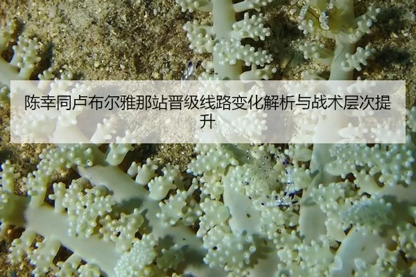 chen-xing-tong-lu-bu-er-ya-na-zhan-jin-ji-xian-lu-bian-hua-jie-xi-yu-zhan-shu-ceng-ci-ti-sheng-2-417.jpg